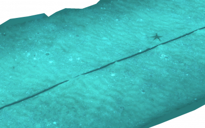 cable_star_repmus23_sparusII